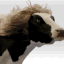 majestic beautiful cow Slack emoji